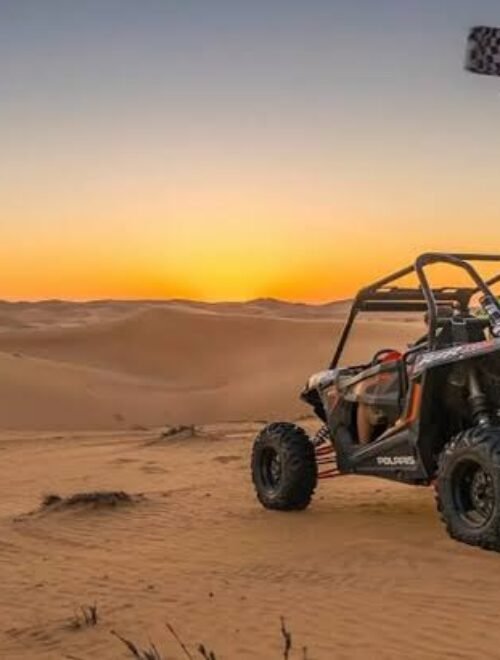 Desert Dune Buggies & Evening Safari Combo