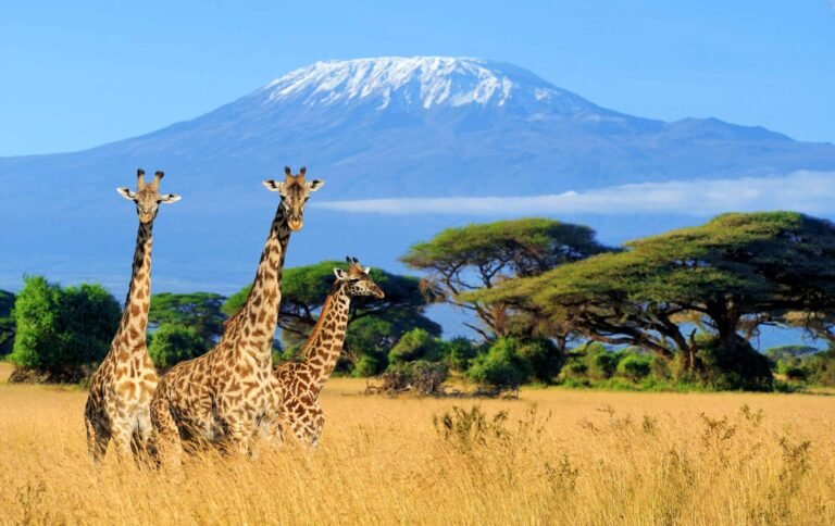 Tanzania Visit Visa